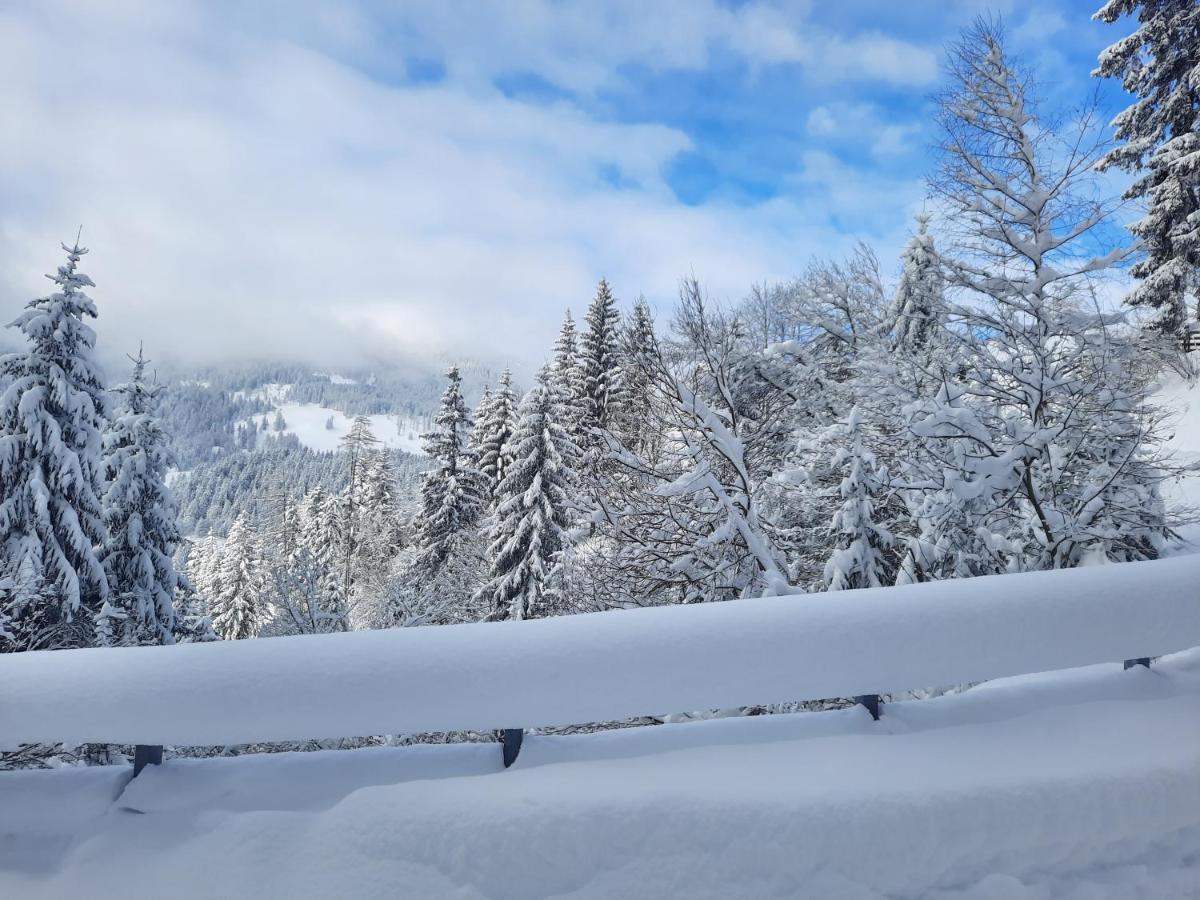 Steinhof Lägenhet Gries Exteriör bild