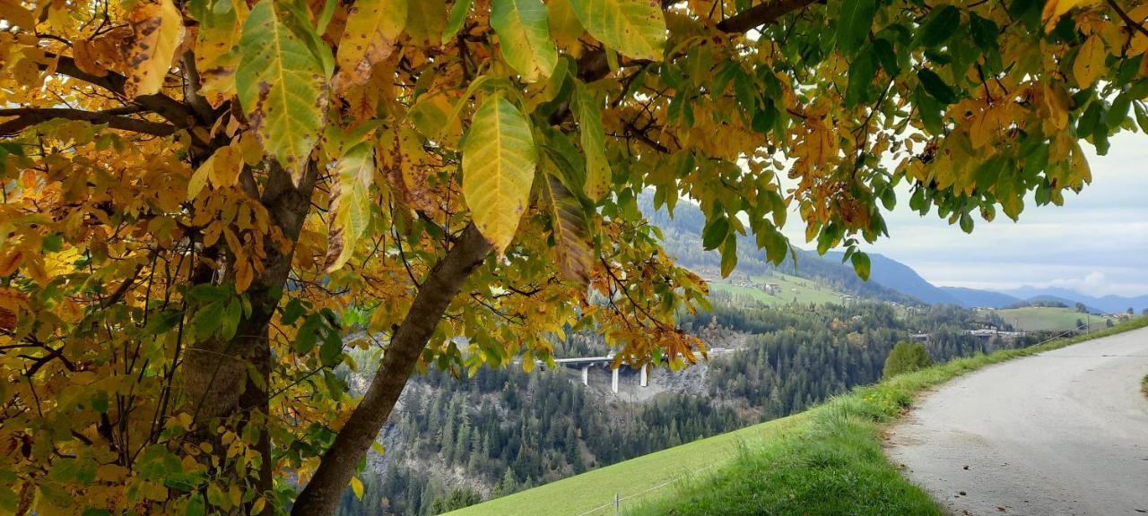 Steinhof Lägenhet Gries Exteriör bild